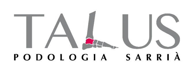 Talus